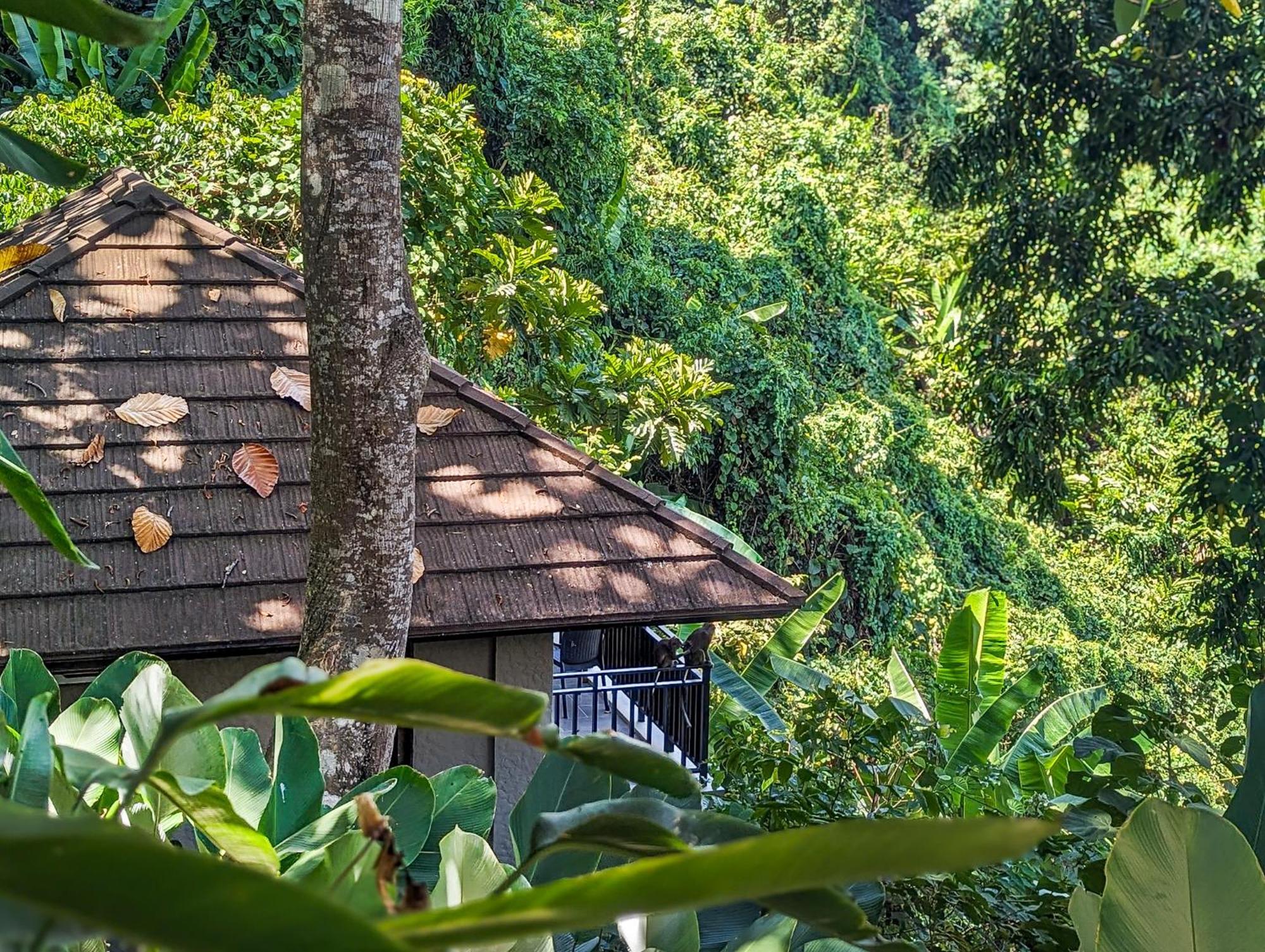 Perch El Nido'S Seaview Villas Overlooking Marimegmeg Exteriér fotografie